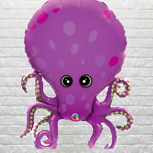 amazing octopus
