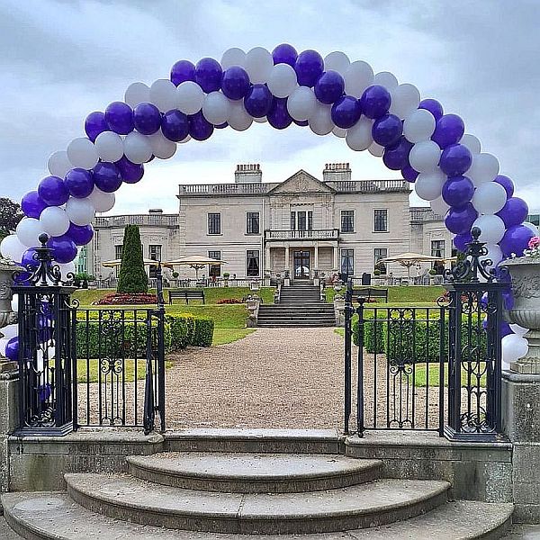 IWD Balloon Arch